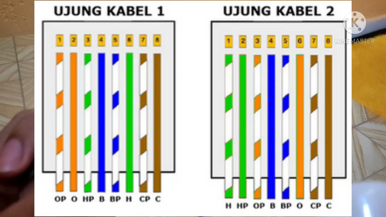 Kabel Straight & Crossover YouTube
