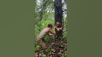 Will this improperly re handled axe work? #cabin #woodworking #logger #logcabin #axe #bushcraft #log