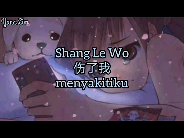 Shang Le Wo 伤了我 (menyakitiku) Ma Jian Tao 马健涛 with Indonesian translation Lyrics class=