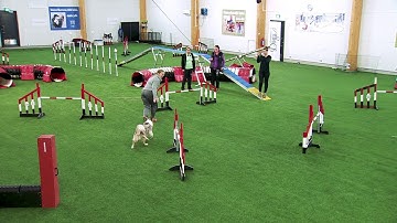 International Agility Training Week - Connection in the Front Cross - preview