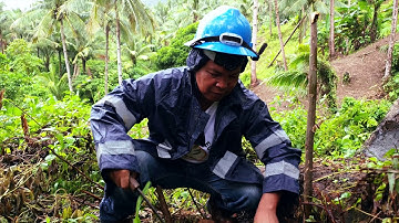 Cinematic Video (Tree planting activity)