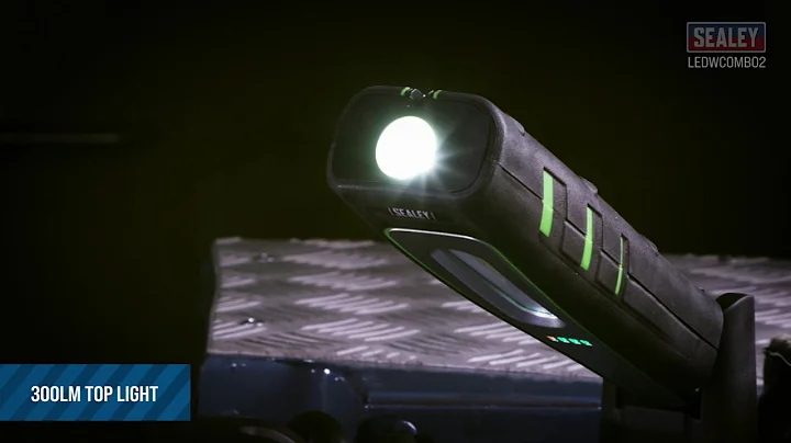 5W Inspection Light & Single Wireless Charging Base - LEDWCOMBO2