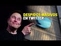 &quot;No hay otra opción&quot;, dice Elon Musk sobre despidos masivos en Twitter