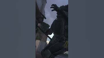 Cod mw2 nikto finisher