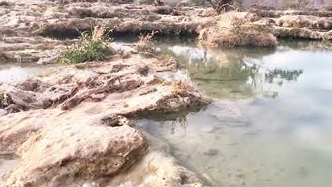 من سورة الأنبياء بصوت الشيخ القارئ نصرالدين آدم محمود ودبلوس