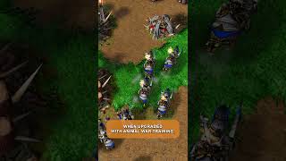 Warcraft III | The Knight is the Human heavy cavalry unit #warcraft3 #knight #human