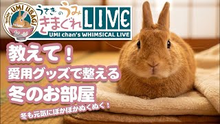 Winter Rabbit Care! Tips for a Cozy Setup with My Favorite Gear—Keeping Your Bunny Warm and Happy...