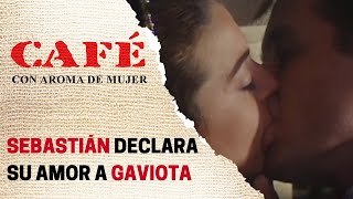 Sebastián le declara su amor a Gaviota y se besan | Café, con aroma de mujer