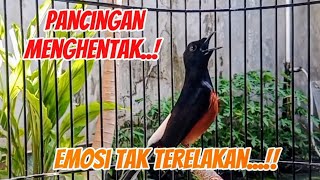 Pancingan reaksi cepat, langsung bikin emosi tak terbendung