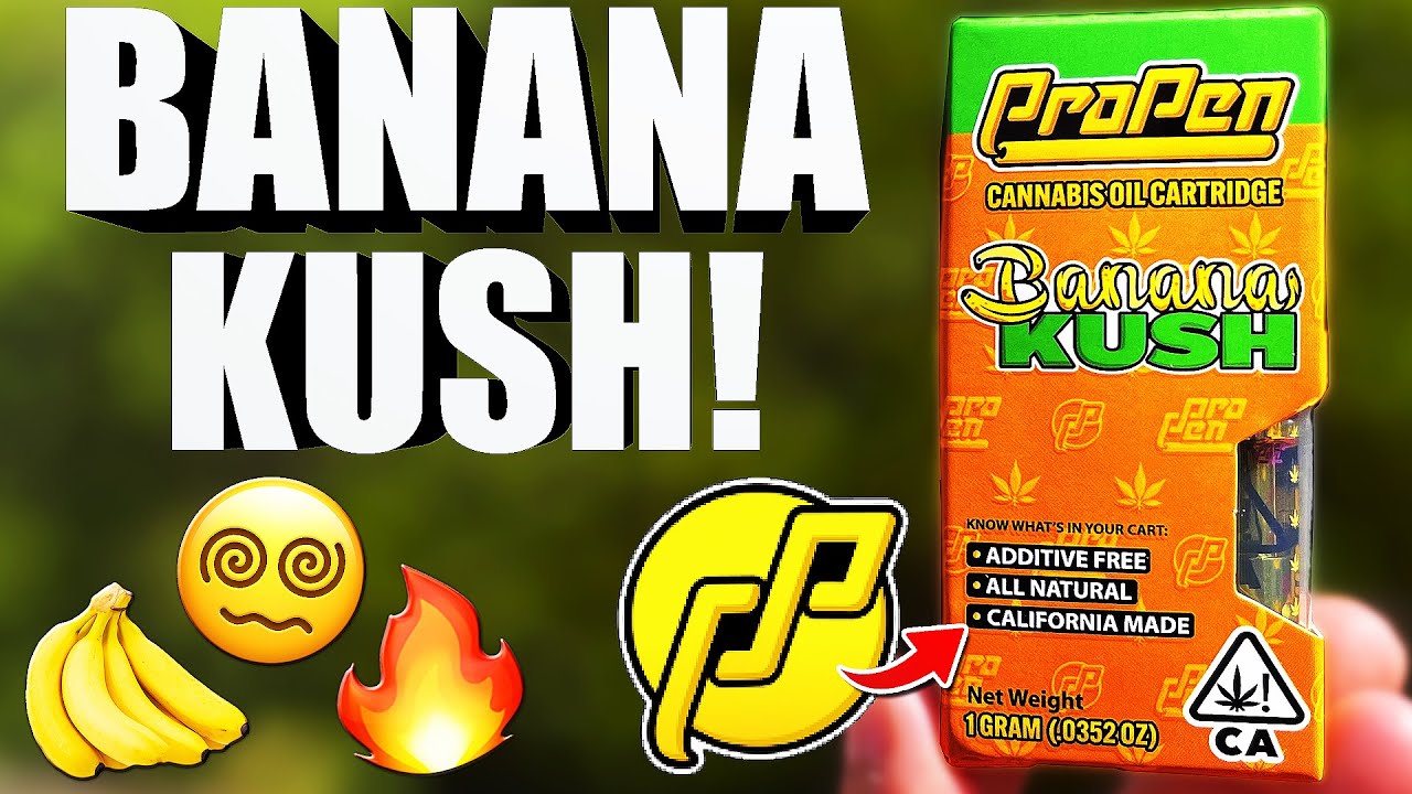 This BANANA KUSH was a SOLID SMACKER! ProPen Banana Kush Review