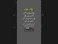 Beautiful lines #quotes #muslimcontent #islamicquotes #goldenwords #islamicreminders #bestquote