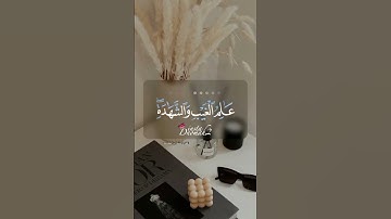 مشاري العفاسي || هو الله الذي لا إله الا هو عالم الغيب والشهادة هو الرحمن الرحيم || سورة الحشر