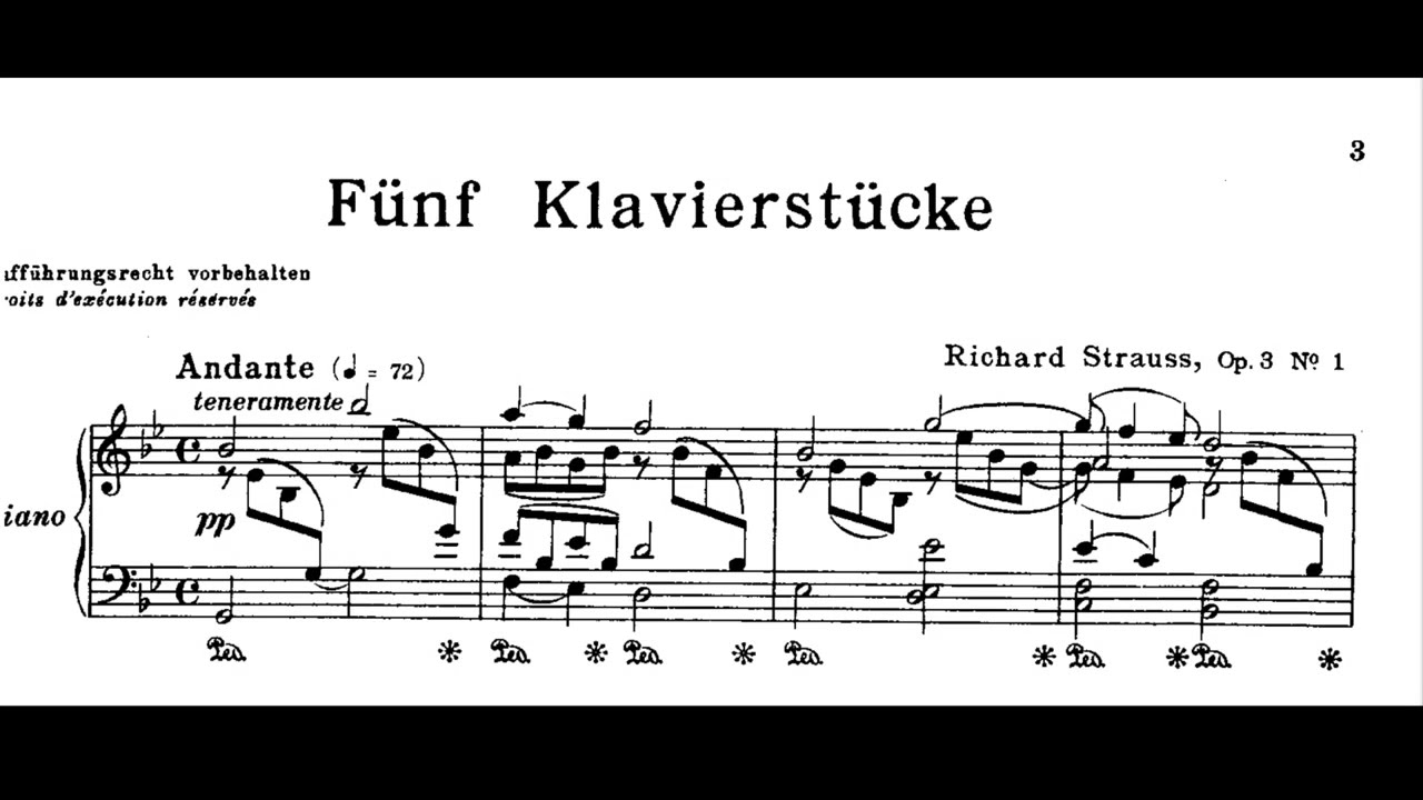 Richard Strauss - Piano Music - "Andante, teneramente", LIVE