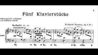 Richard Strauss - Piano Music - Andante, teneramente, LIVE