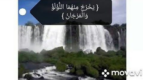 { يَخْرُجُ مِنْهُمَا اللُّؤْلُؤُ وَالْمَرْجَانُ } حالات واتس/ قرآن كريم/ سورة الرحمن/  احمد العجمي