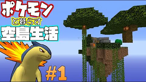 マイクラせぶーんポケモンと暮らす空島生活
