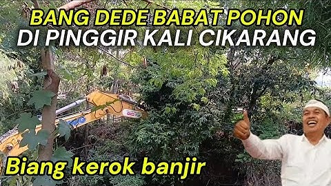 NORMALISASI KALI CIKARANG ‼️ Bang dede babat pohon di pinggir kali biang kerok banjir
