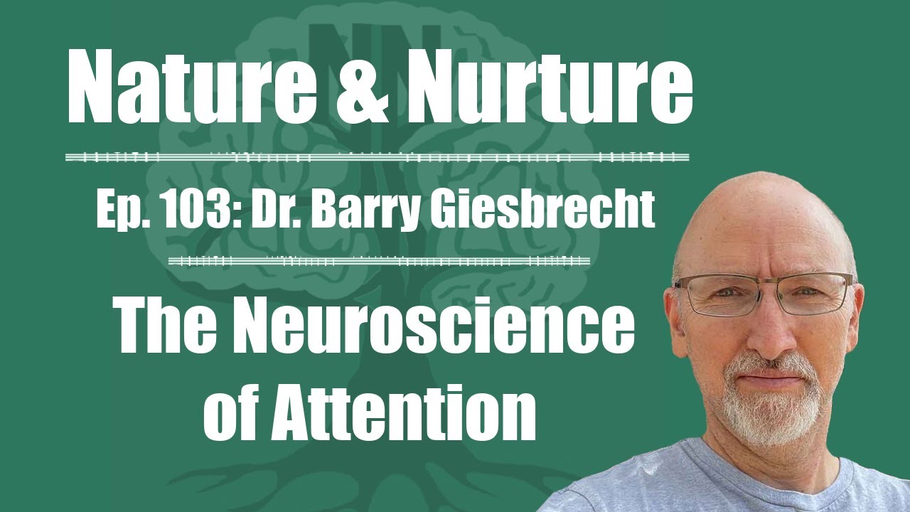 Nature & Nurture #103: Dr. Barry Giesbrecht - The Neuroscience of Attention