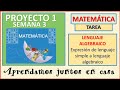 Semana 13: (Matematica: Lenguaje Algebraico) Básica Superior: (8vo, 9no y 10mo
