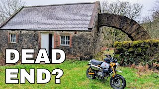 Download Lagu Exploring Shinnel Glen on the Honda Monkey MP3