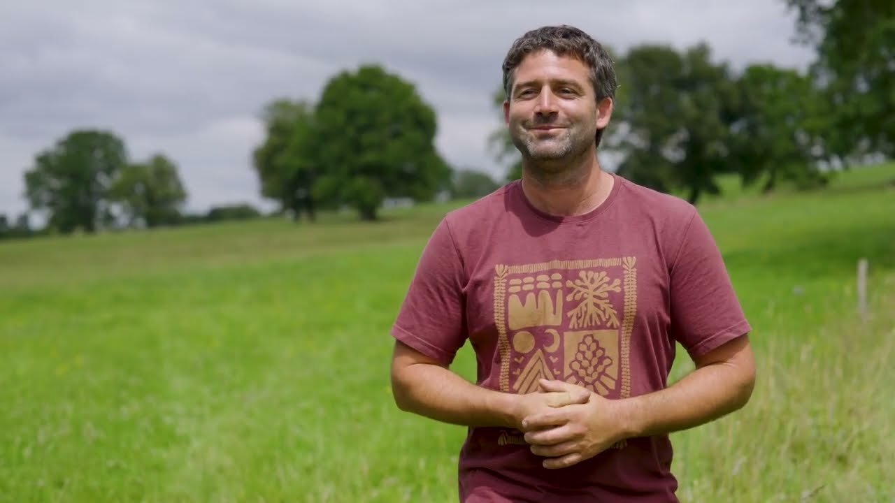 Elevage de veaux en plein air sous vaches nourrices
