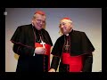 Why Cardinals Wear Red & Purple Hats: Explained #cardinal #pope