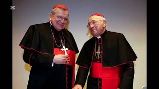 Why Cardinals Wear Red & Purple Hats: Explained #cardinal #pope