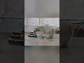 Mika's 1. Geburtstag 🎁 Happy Birthday 🥳🎉🐻‍❄️🎂🎈🕯️
