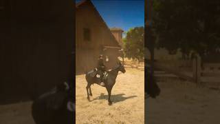 SANGRE CALIENTE HOLANDES 🐎 #caballos #amoaloscaballos #rdr2 #reddeadredemption2 #vaqueros