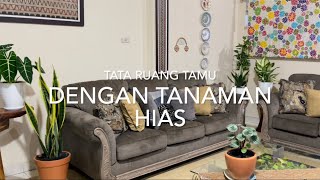 Menata tanaman hias di ruang tamu | TanHis | bikin cantik ruang tamu |