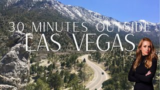 Mount Charleston & Lee Canyon: Vegas’ Hidden Mountain Paradise Revealed! 🏔️ Wealth