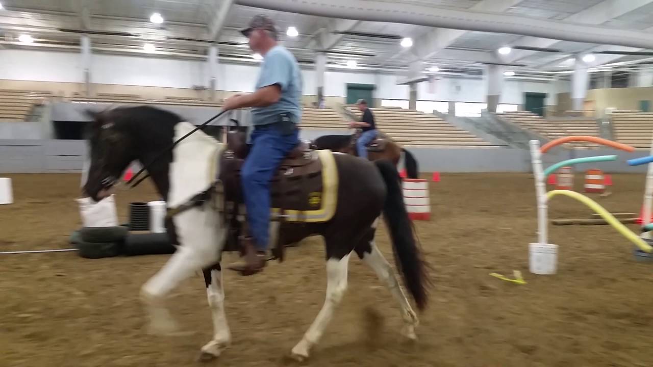 Maury County mounted patrol team obstacle challenge YouTube