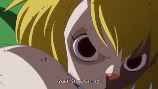 Zoro Vs Carrot