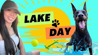 We took our Doberman to the lake! Off-roading and testing the water..what?!