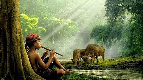 Kecapi Suling Sunda - Walang Sungsang
