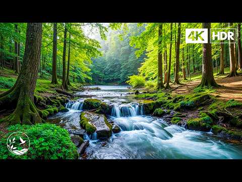 Music therapy 🌿Calming music restores the nervous system, relaxing