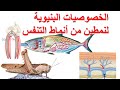 الخصوصيات البنيوية لنمطين من أنماط التنفس مادة العلوم الطبيعية السنة الثانية متوسط الدرس 2
