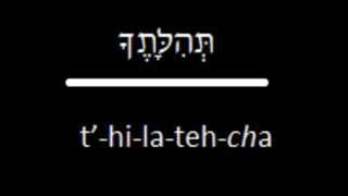 Prayer-eoke: Adonai S'fatai Tiftach (Prelude to the Amidah/Tefilah)