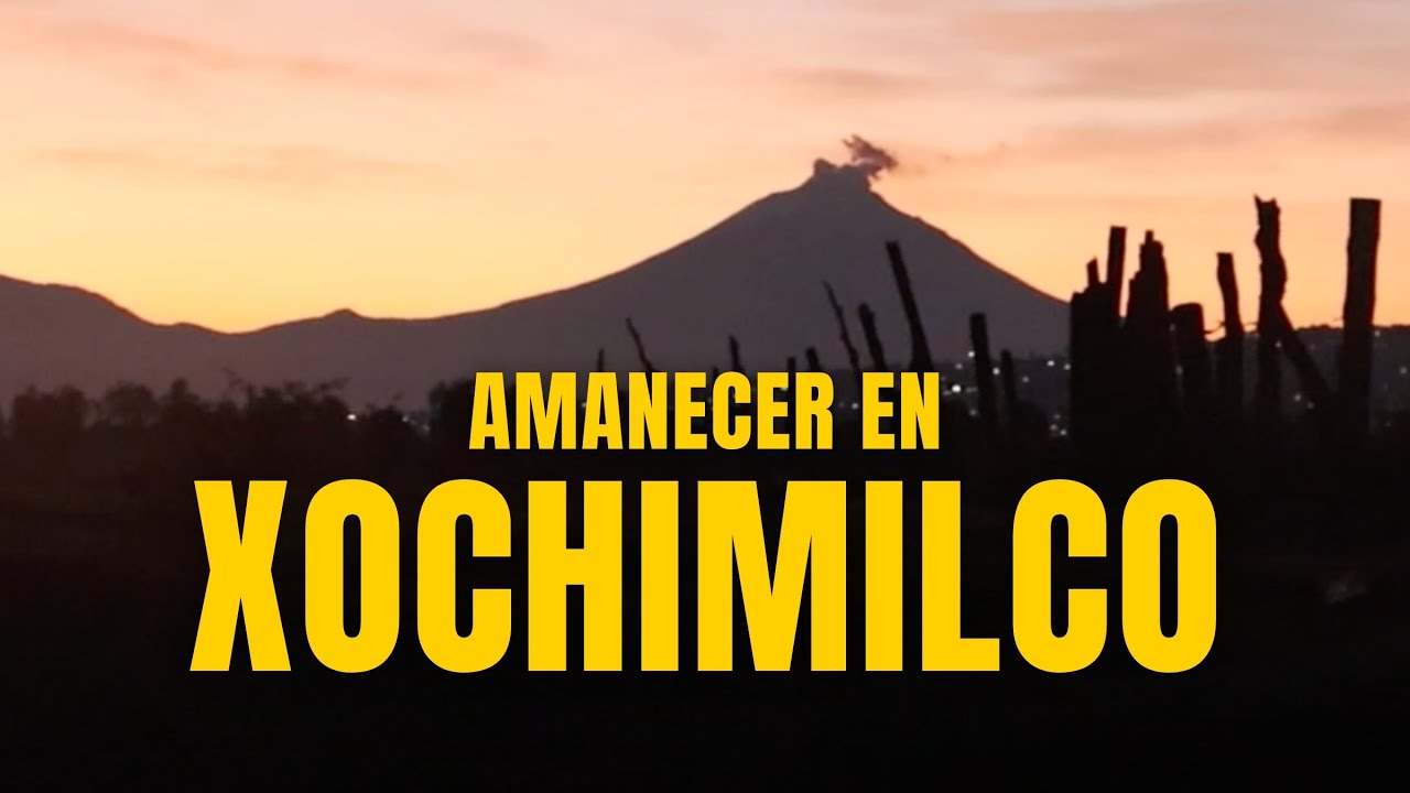 La ruta del cempasúchil en Xochimilco. Tour de Día de Muertos. | Nómada