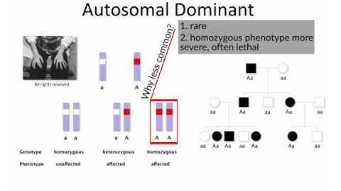 Mendelian Inheritance by B. Korf | OPENPediatrics