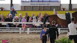 Voltigierturnier 2025 | RuFV St.Georg Oberursel-Bommersheim