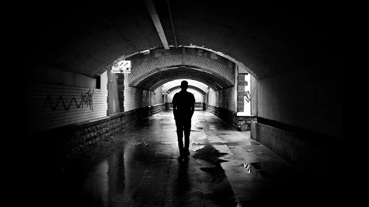 Alan Hauser - The Terror Within
