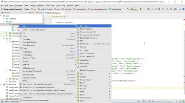 Android RecyclerView | Custom List and OnClickListener