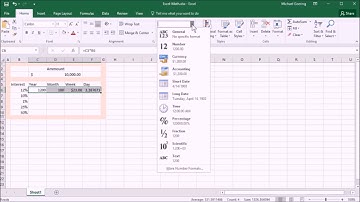 ExcelMath Ex1 Interest & Percent