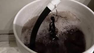 Compost Tea Bloom Only 2 Ingredients