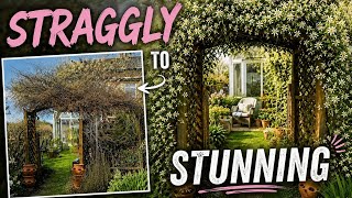 Overgrown Jasmine Transformation | Easy Care Tips for a Stunning Garden Feature