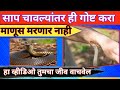 साप चावल्यावर ही गोष्ट मरू देणार नाही।Snake bite first aid and treatment|| saap chavla kay kraave