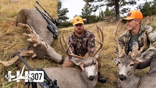 FREAK Cactus Buck! | Mule Deer Hunt | 2 Bucks Down | 4K
