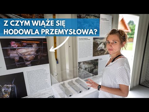 Wideo: Muzeum Hodowli Koni i Muzeum Biologiczne. Ulice Timiryazevskaya i M. Gruzinskaya nie pozostawią Cię obojętnymi