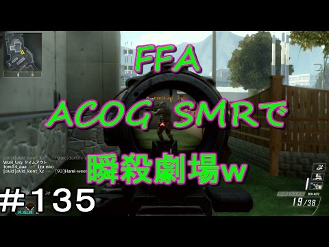 【BO2 実況】3分で試合終了！-FFA-#135【SMR】